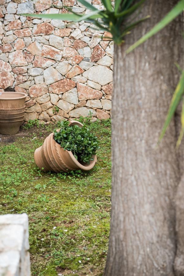 Zen Serenity Retreat With Great Outdoors, Pool & Parking Aptera Exteriör bild